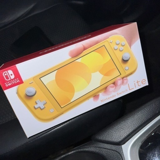 その他 Switch lite