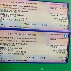 ハッピードリームサーカス沖縄公園　14日（日）プレミアム席　大人2枚