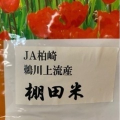 古米５分づき　新潟こしひかり　JA柏崎 棚田米　約1.5kg