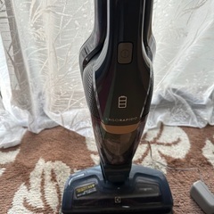 エレクトロラックス　エルゴラピード　electrolux ergorapido