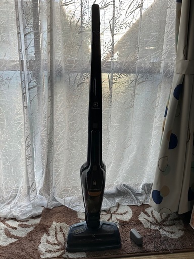 エレクトロラックス　エルゴラピード　electrolux ergorapido