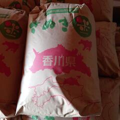 【値下げ】令和５年産 玄米 2品種 30kg (中讃から)