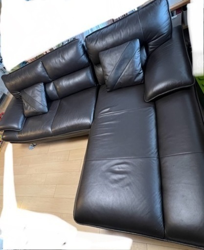 ニトリ ロゾ4 カウチソファ 注意！カウチの方 ミズゴロウ 新入荷