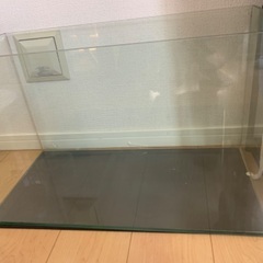 GEXオールガラス水槽　60cm