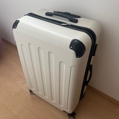 スーツケースLサイズ　⭐︎受け渡し予定済⭐︎