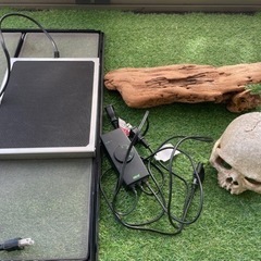 決まりました！　エキゾテラ　ケージ　グラステラリウム　6030 フルセット