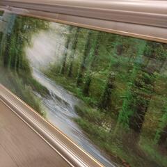 桜井　良　「森林」