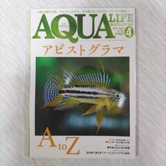 AQUA LIFE　2021年４月号