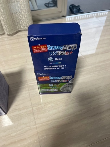 海水魚