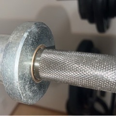 ROGUEステンレスオハイオパワーバーレビューホームジム用に選んだ
