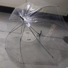 横須賀🆗ビジネスホテルで買った大きなビニ傘￥700の品