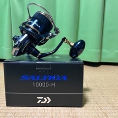 20ソルティガ10000H 