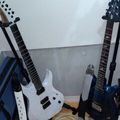 【1/13 15時まで】Balaguer Guitars / Diablo Standard with Hipshot Hardtail Bridge, Satin Trans White