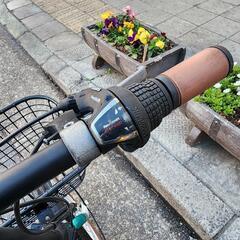 💯💯　ＶＯＬＫＳＷＡＧＥＮ　折りたたみ自転車　２０インチ　6変速　カゴ　付き　青　配達可能