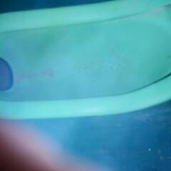 仮設トイレになります