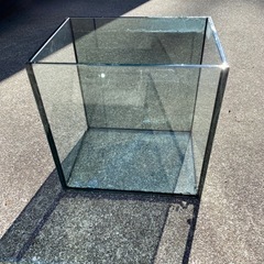 ガラス水槽　小型　ミニ　ガラスふた付き