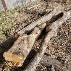 柿の原木　薪　DIY 