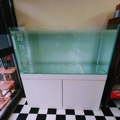 中古　ADA 120cm水槽セット