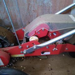 種まきゴンベイ