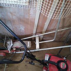 種まきゴンベイ