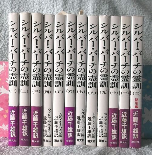 シルバー・バーチの霊訓　全巻セット12冊　近藤千雄訳　潮文社発行 シルバーバーチの霊訓 絶版本 no.3707g