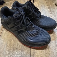 2.3日以内限定！adidas 数日上履き用にて使用のみ！29.5