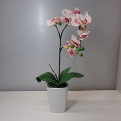 造花（胡蝶蘭）　高さ約47cm