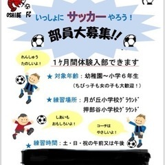 少年少女サッカー　サッカー　1ヶ月の部費1,000円　小学…