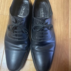 紳士用　靴　24.5 EEE