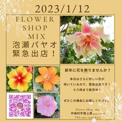 2023.1.12 泡瀬のパヤオでFlower.mix緊急出店！