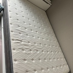 去年購入したダブルベット 新品で購入しました！