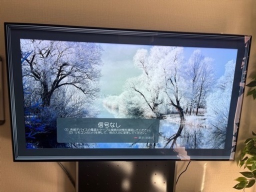 【ジャンク品】48V型 有機ELテレビ OLED48C1PJB