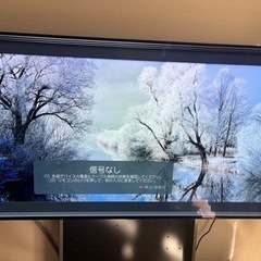 【ジャンク品】48V型 有機ELテレビ OLED48C1PJB