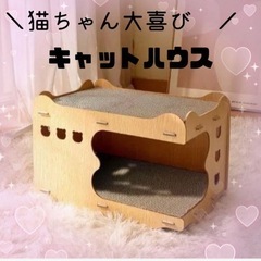 キャットハウス 猫 爪とぎ 猫おもちゃ 組み立て式 ダンボールハウス 