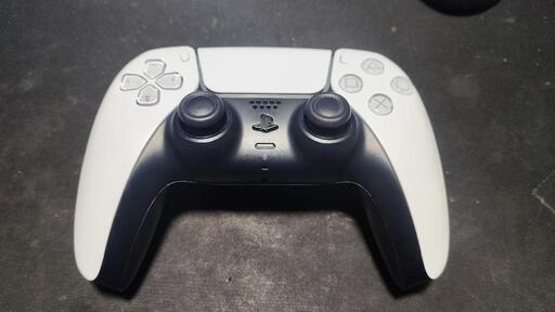 ps5 純正コントローラー 改造