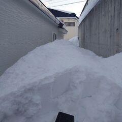 屋根の雪、屋根から落ちた雪、雪庇等作業します😊