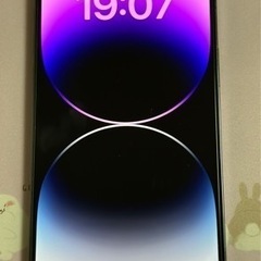 【ネット決済・配送可】iPhone14Pro  Max 256G...