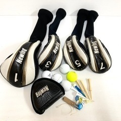 【SOLD OUT！】◆BRIDGESTONE ブリヂストン Newing DYNASPEC NEO-G◆ゴルフクラブ 全13本セット＋ Titleist タイトリスト キャディバッグ付き