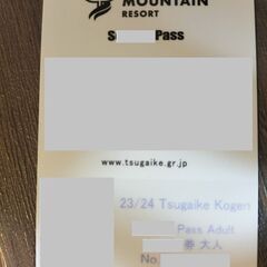 【ネット決済・配送可】tsugaike season pass ...