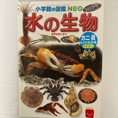 ハッピーセット水の生物図鑑