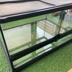 グラステラリウム　6030 ケージ　爬虫類　エキゾテラ