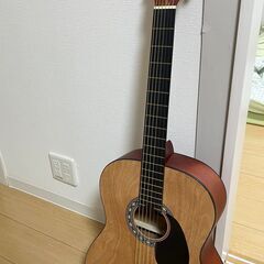 95%NEW - ほぼ新品 ギターRogue