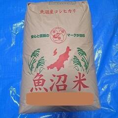 【特価】令和5年産　魚沼産コシヒカリ《30kg》玄米