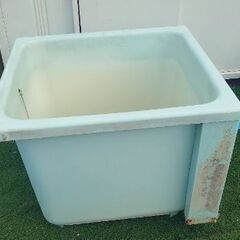 完売ありがとう『春だ❗水だめだ❗』家庭菜園用の風呂オケ 風呂桶  