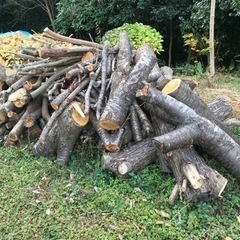 【無料】薪の原木