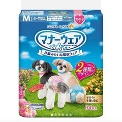 【ペット】犬用マナーウェア女の子用Mサイズ　新品未開封2袋