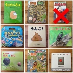 幼児向け　絵本　図鑑　セット　迷路　さかなつり　