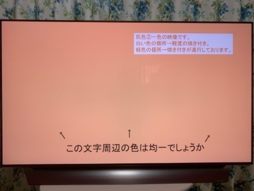 2019年 LG 55インチ 4K 有機ELテレビ OLED55C8PJA