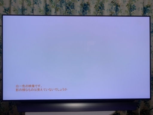 2019年 LG 55インチ 4K 有機ELテレビ OLED55C8PJA