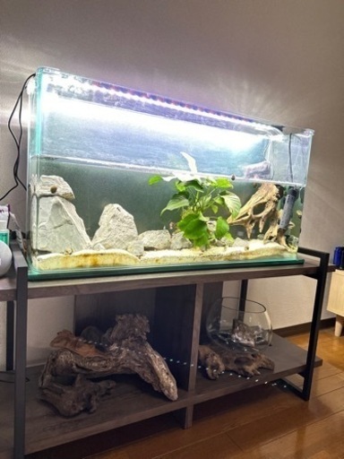 お値下げ！水槽90cm＋水槽台116cm  40000円⇒30000円に！